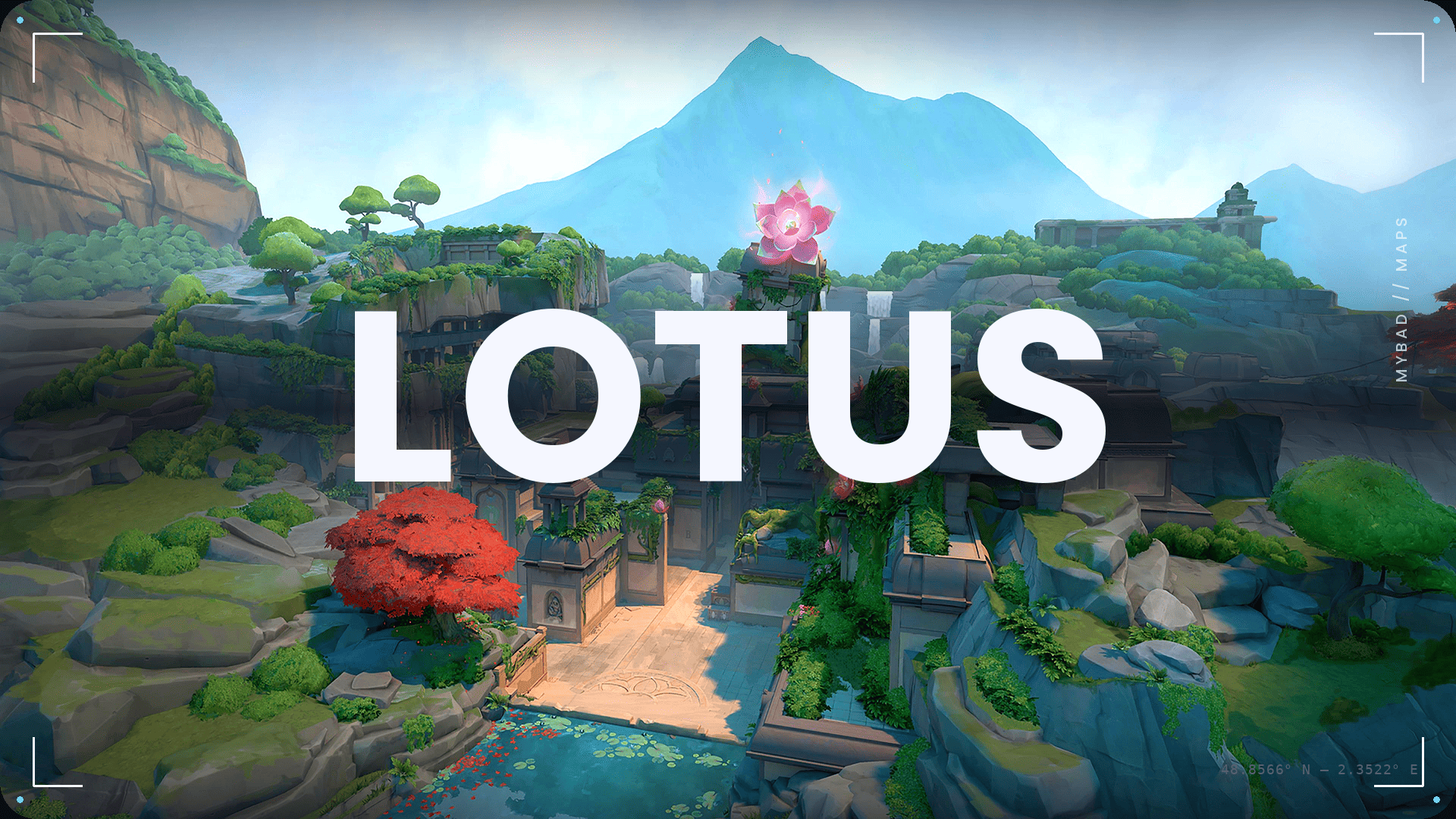 Lotus